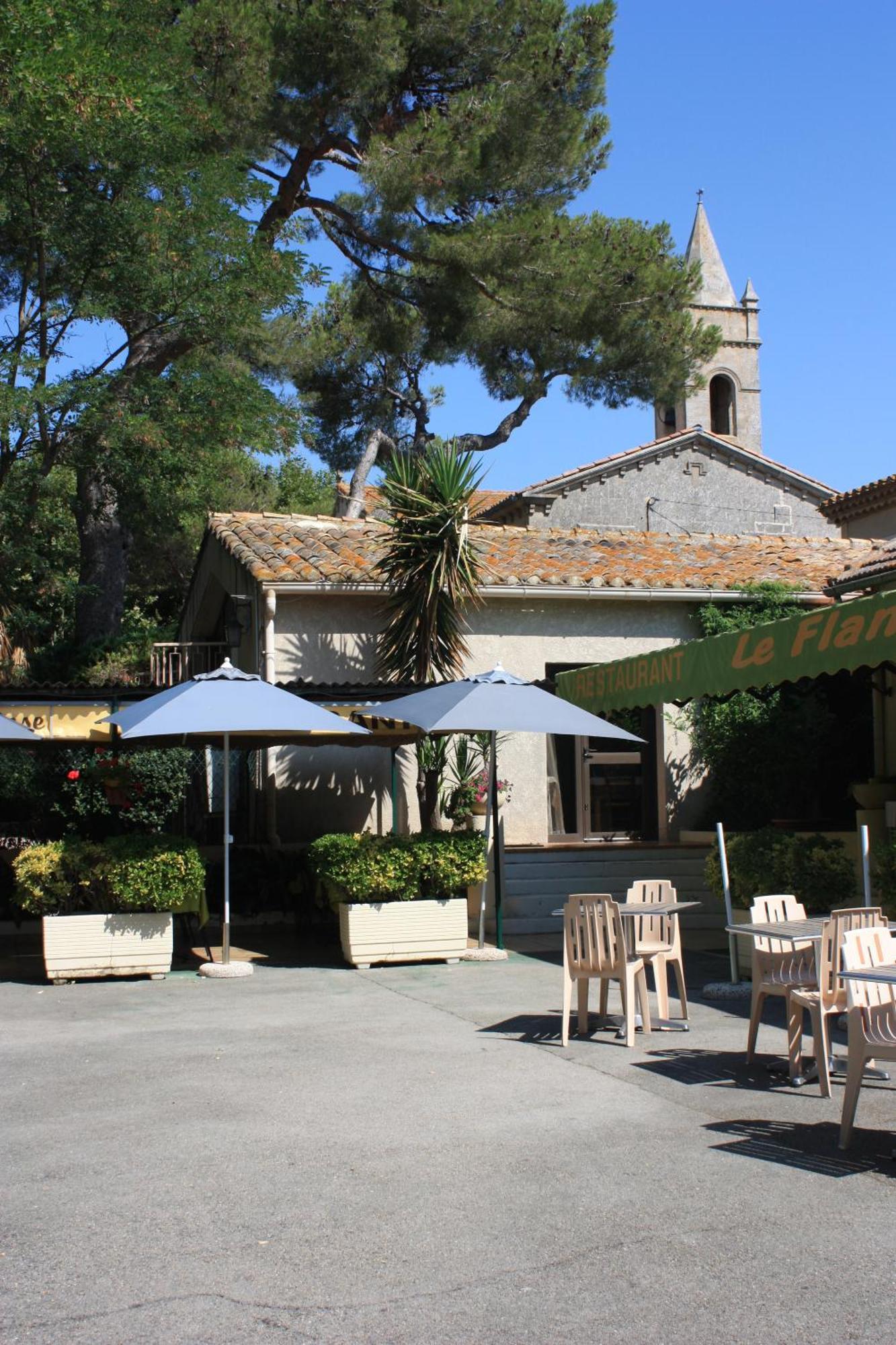Logis Hotel Restaurant Le Flamant Rose Camargue Albaron Exteriör bild